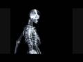 Homebase - Uto Karem