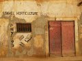 Le fleuve S�n�gal-2-