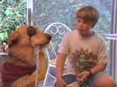 Sherlock Bones 2