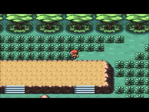 how to i get surf in pokemon fire red