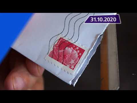 Новостная лента Телеканала Интекс 31.10.20.