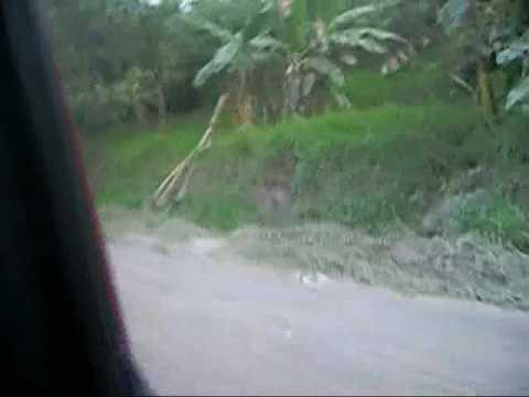 Road between Rabaul and Kokopo, ...