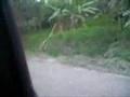 Road between Rabaul and Kokopo, Papua New Guinea