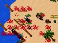 Open Battle