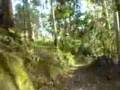 Promo��o Maratona BTT Rally Fafe - M08