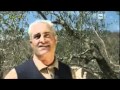 Uno Mattina bosco di San Francesco - YouTube