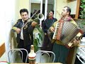 Vioara cu goarna \"Gruia, Frunza & Gusti Band\"..