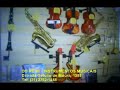 Dó Ré Mi de Nilópolis - instrumentos musicais