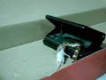 Baby Corn Snake Eating Fuzzy 2
