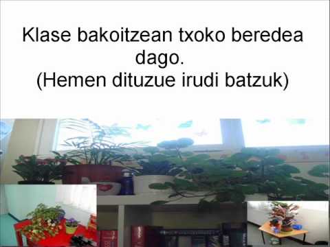 Ver video