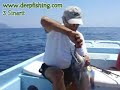 Dentex Dentex, Deepfishing ekibi Sinarit avinda