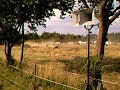 osnabruck europokal osnabruck europokal