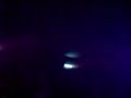29112009.2-amok--mantis.mp4