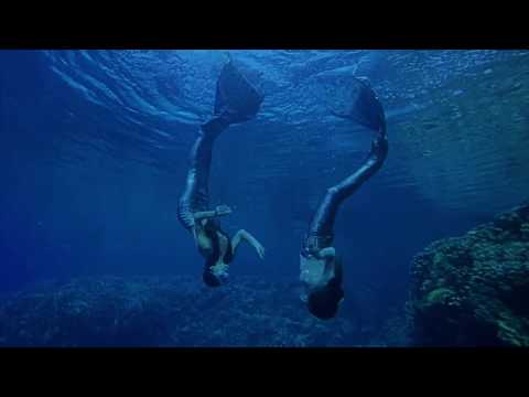 video-show