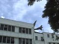 boeing-747-over-kowloon-city-landing-hong-kong-kai-tak-1.html