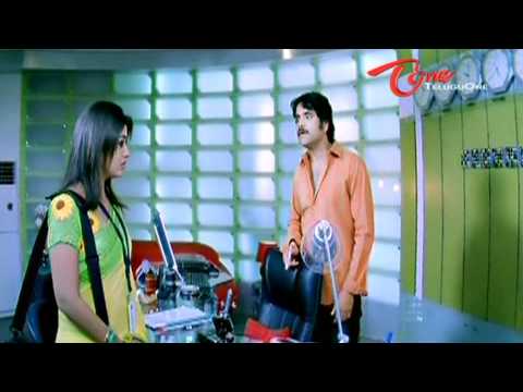 Boss, Akkineni Nagarjuna, Nasser, Nayantara, Nicolette Bird, Saloni, Sayaji Shinde, Poonam Bajwa, SumaLatha, Tanikella Bharani, Brahmanandam, Ali, Shriya, Hema, M s Narayana