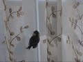 الزمن دوار.wmv