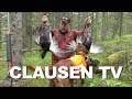 Skogsfugljakt 2017 av Kristoffer Clausen nå på Clausen TV