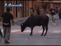 Pe�a el poal 24-8-07 toro cerril y vacas