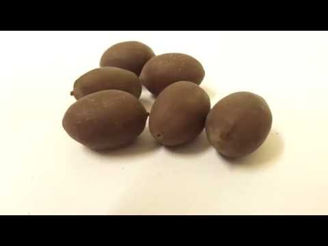 how to harvest lotus seeds