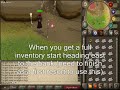 This is a guide on how to get to eucalyptus logs, which is a good source of money and exp.