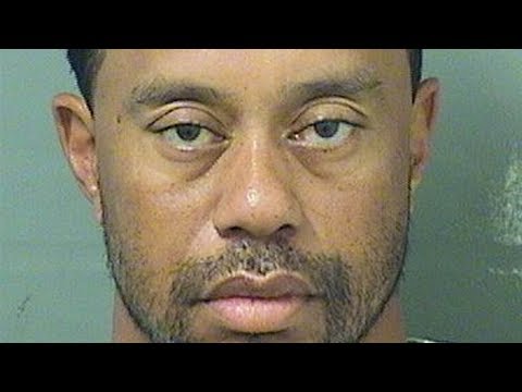 Someone Made A Tiger Woods Mugshot Mural & Nailed It