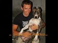 HERA amstaff HERA amstaff