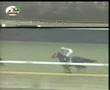 Japan Cup