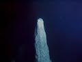 Hydrothermal vents support life; this demonstrates just how resilient life can be. There are also a surprising diversity of life forms that inhabit these vents, despite the absence of sunlight and elevated pressures and deadly heat.