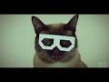 Skifcha Dubstep Cat