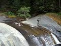 Natural waterslides - 4 Falls Natural waterslides - 4 Falls