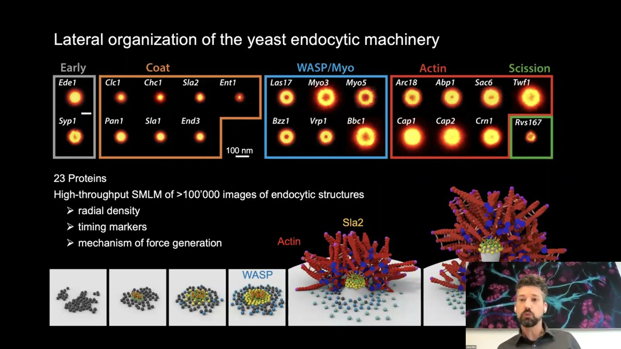 Jonas Ries: "Superresolution microscopy for structural cell biology"