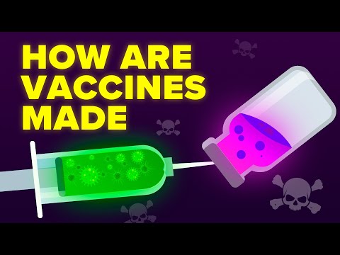 How Are Vaccines Actually Made