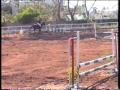 b80 a San Felice Circeo
