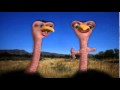 Voir la vidéo