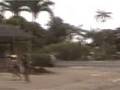hawaii 2006