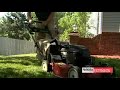 Lawn Renovation Lawn Renovation