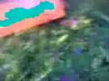 videos de S . U . MM . E . R  2008