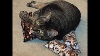 DIY Catnip Cat Toy - A Super Easy Cat Pillow Kicker