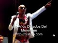 Los Años Dorados Del Merengue 80s y 90s