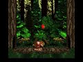 Donkey Kong Country - Vulture Culture