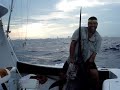 deep sea fishing seacross!