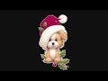 Felice navidad Felice navidad