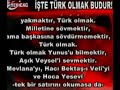 işte türk olmak budur!