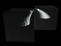 Conical Motion 4 - Walter Russell