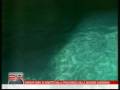 videos de ScienzeDelMare:LoStatoDelMar(Tropical)Mediterraneo
