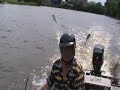 Asian carp on the Fox and Illinois River in Ottawa Illinois