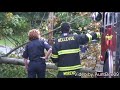 Tree Falls Down in October 18, 2007 Seattle Windstorm