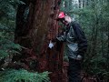Surprise Geocache Surprise Geocache