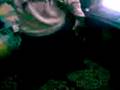 videos de temara fun: teckto 3ab9orimiti